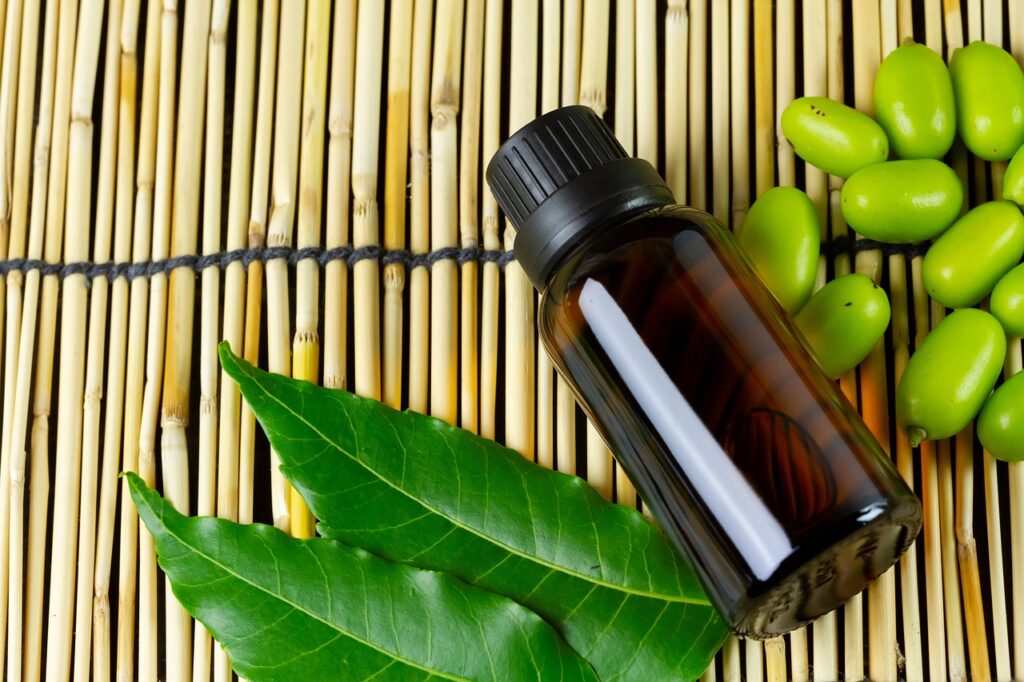 Remedios caseros para plagas de suculentas_aceite de neem
